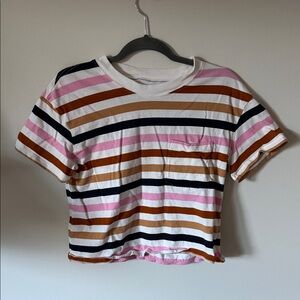 Madewell Pink and White Striped Shirt